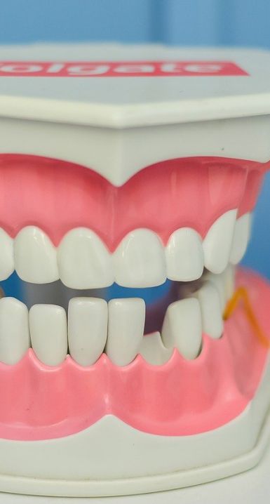 Hvad er forskellen på tandplejer og tandlæge